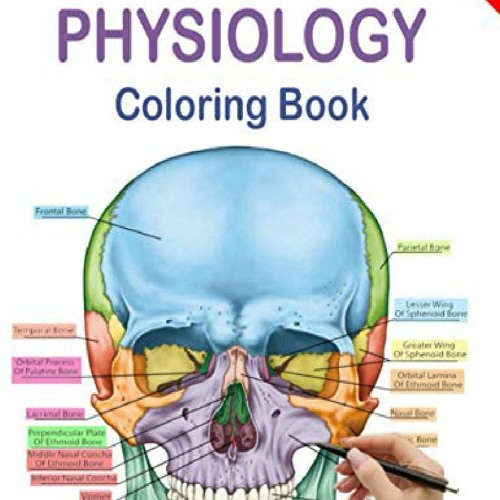 online anatomy coloring pages