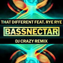Bassnectar - That Different ft. Rye Rye (DJ Crazy Remix)