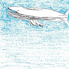 白鯨の空