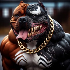 HDWAV 5.1 - SW33TT 3V1L DRR11LLL 0FF1C14L R3M1X FT Tel Kel - Tout est dma faute ft Ced Auger.wav