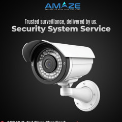 WhatsApp Video 2025-11-17 at 12.55.39 PM