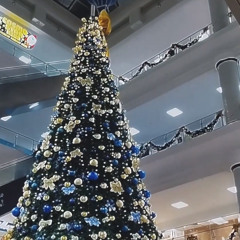 Remember the things We used to do