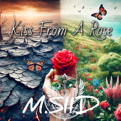 Kiss From a Rose