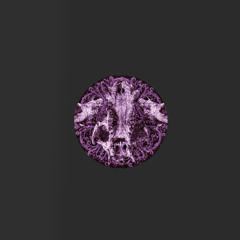 Great Violence (feat. Lowroller)