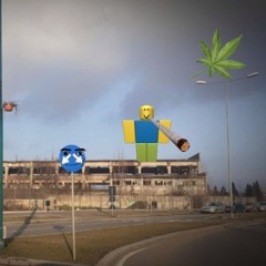 fecaluria - myiasis (puroi cover)