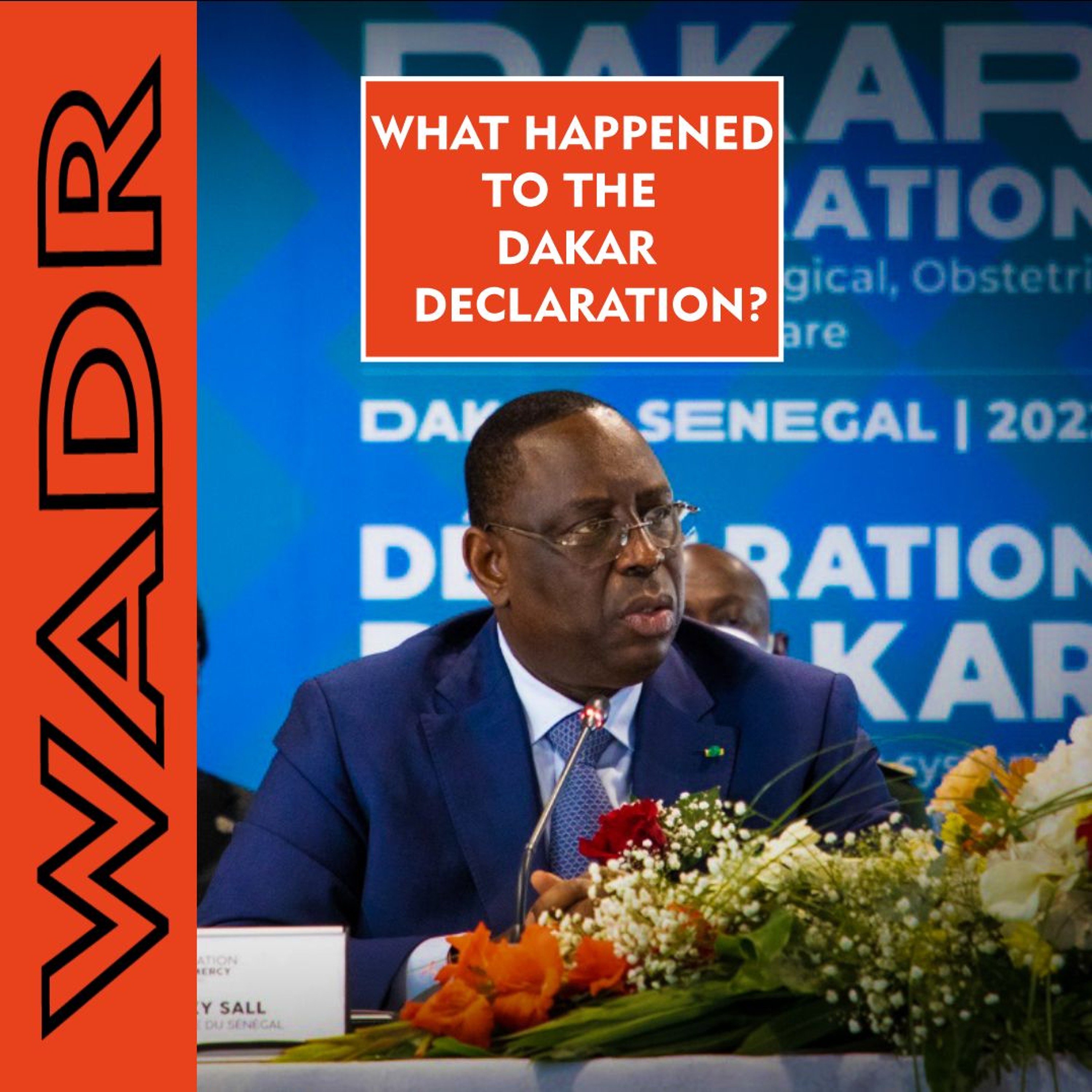 20 Years On: Has West Africa's Dakar Declaration stopped insecurity? - In The Sahel episode artwork