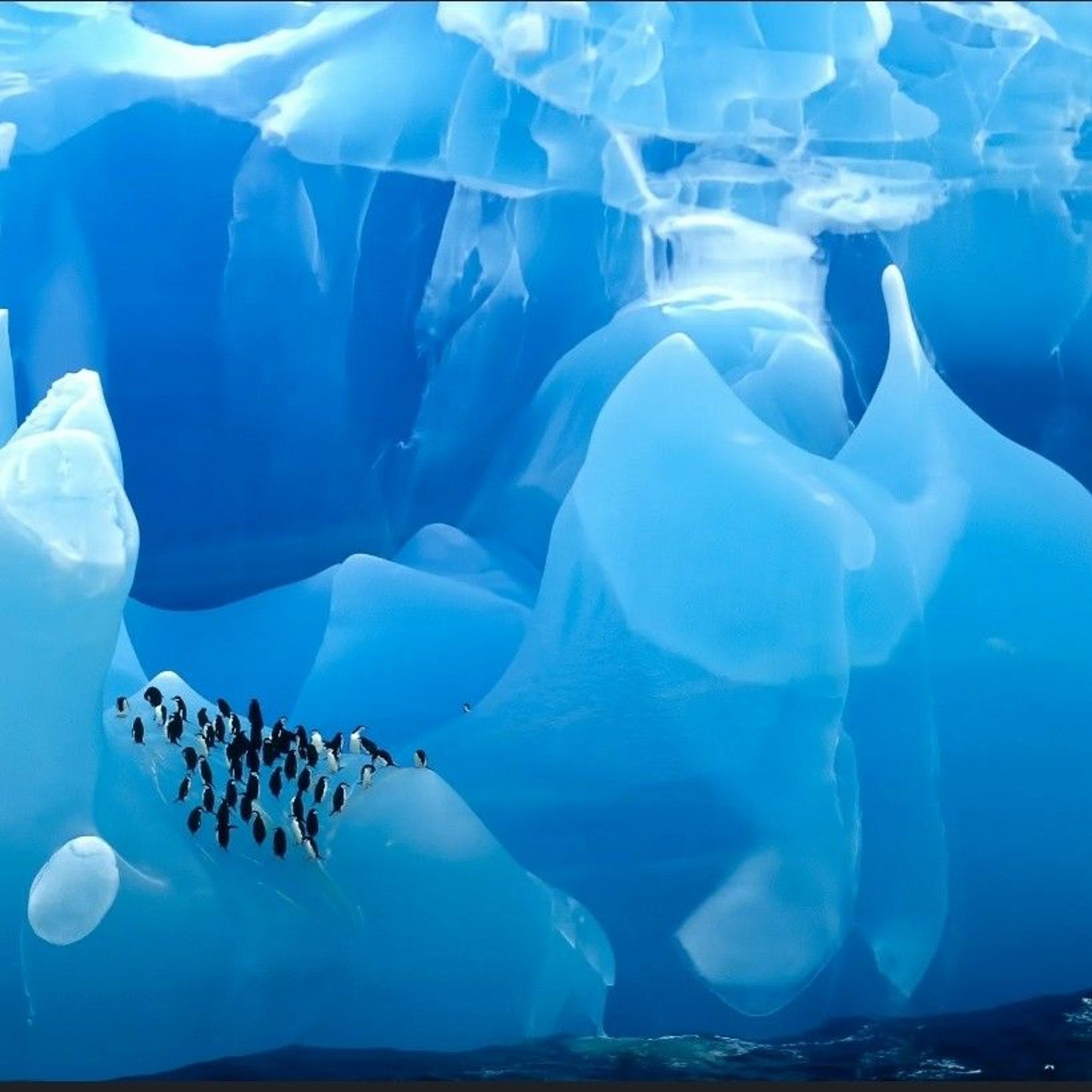 Leviathan Chant Entertainment