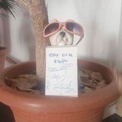 estoy en el equipo