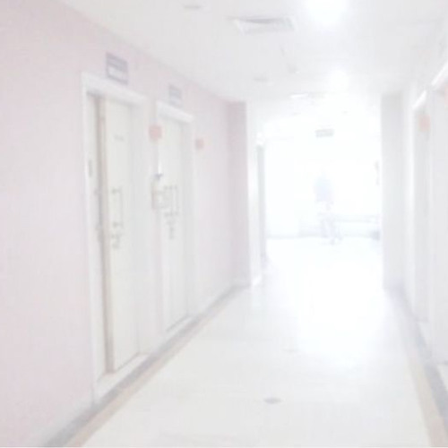violet dreams (nativ) mv in desc