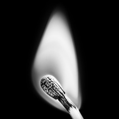 Ici Tout Est À Vendre