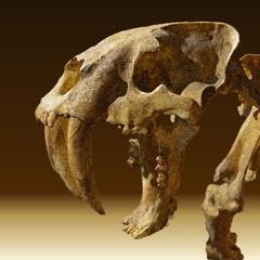 Sabre Tooth Tiger (Extended Mix)