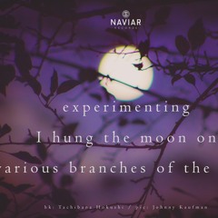 Lunar blossom(naviarhaiku 391)