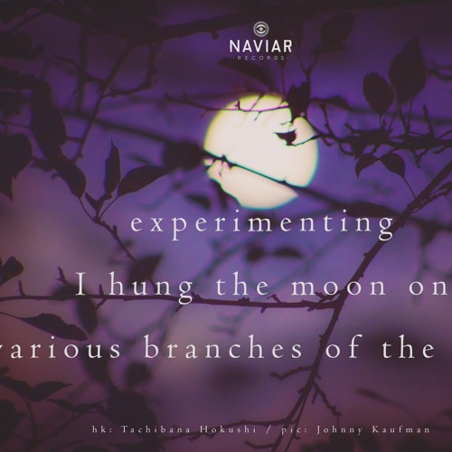 Lunar blossom(naviarhaiku 391)