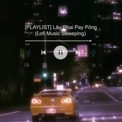 [PLAYLIST] Lâu Phai Pay Pỏng (Lofi Music Sleeping)