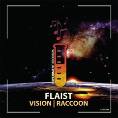 Flaist - Vision (Original Mix)