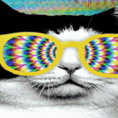 Funky Fresh Wednesdays (sets)