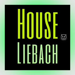House Liebach-2025-06-01 up to bpm125