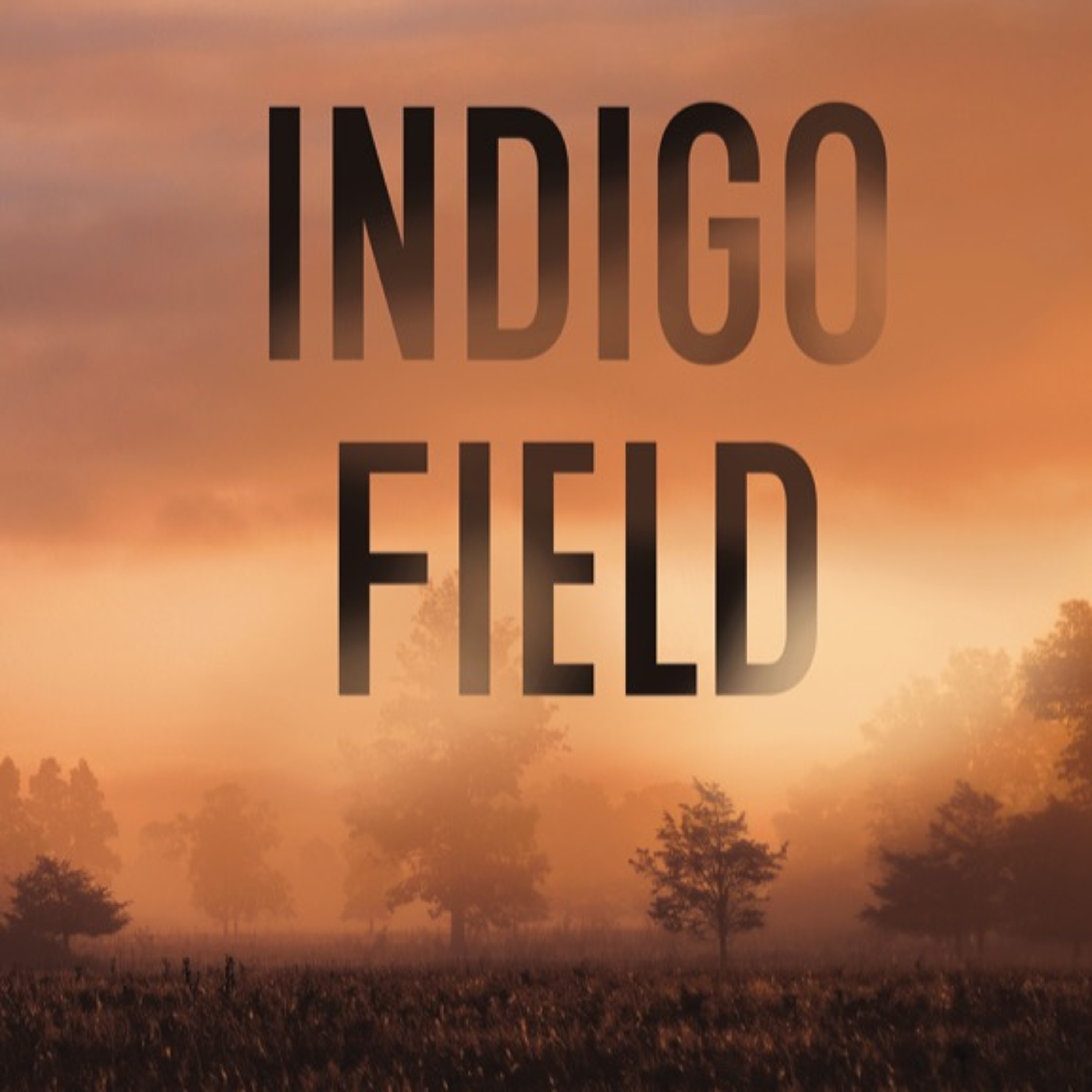 Episode 40 - Loss, betrayal and ghosts in the deep South of INDIGO FIELD episode artwork