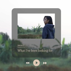What I've Been Looking For (Cover)