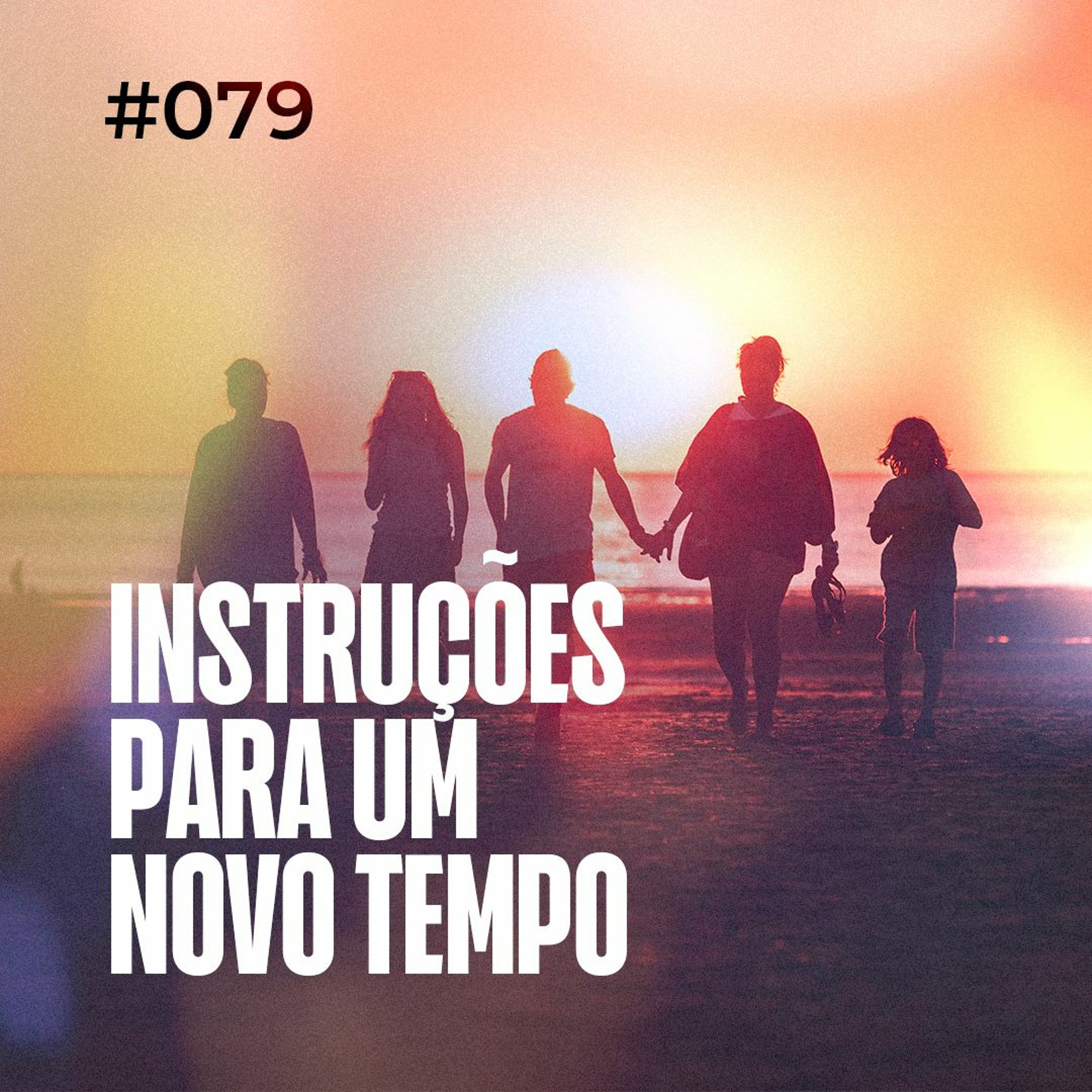 Dirce Carvalho