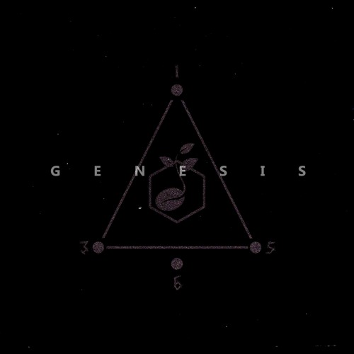 SEED: 1356 「GENESIS」