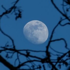 Love Me (Prod. JpBeatz)