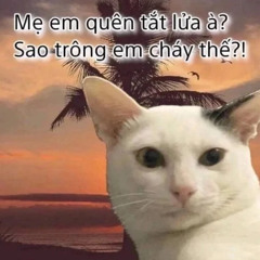 nhạc cổ đánh đổ dân chơi