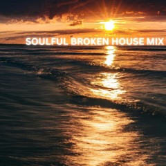 SOULFUL BROKEN HOUSE MIX VOL 64