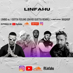 LIMBO vs. I GOTTA FEELING (GUETTA REMIX) | LINFAHU MASHUP