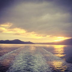 Eggs & Mimosas VC Set Oct 2022