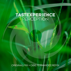 Perception (Obie Fernandez Remix)