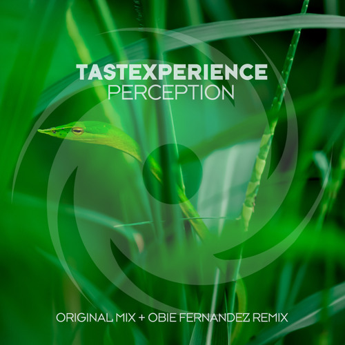 Perception (Obie Fernandez Remix)