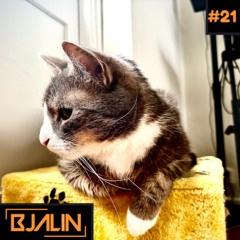 Bjalin Radio #21 - Mixtape