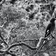 Guide to the galaxy - I´m falling