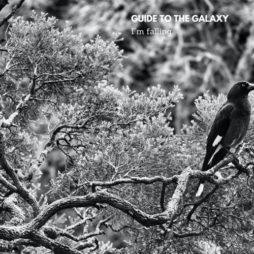 Guide to the galaxy - I´m falling