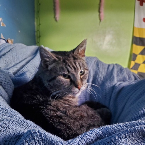 This House Is Not The Same