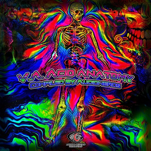 Alteraltime  - Inner Conversation V.A. Acid Anatomy Compiled by Conker 147 Bpm