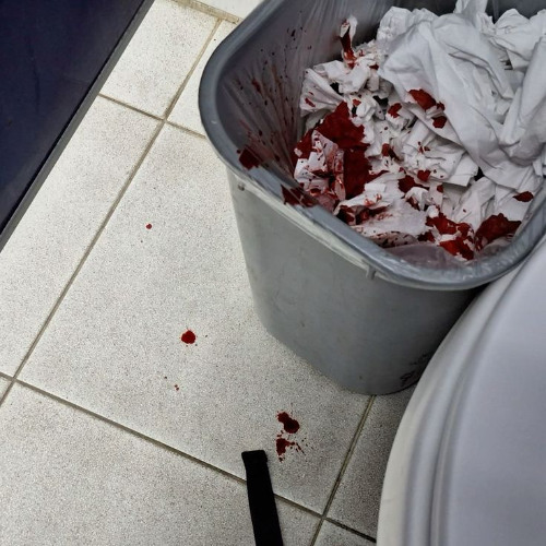 blood