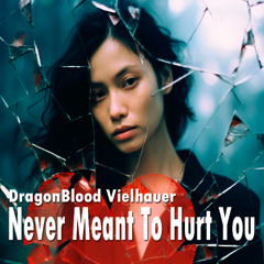 Never Meant To Hurt You