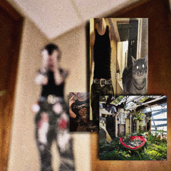 whts yo B.B. size? (+rubbish)