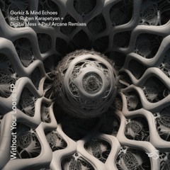 Gorkiz, Mind Echoes - Without Your Noose (Paul Arcane Remix)