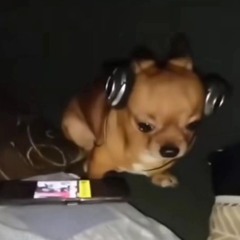 Músicas aleatórias 🗣️🔥🔥