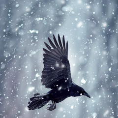 Hrafninn flýgur (the flight of the raven)
