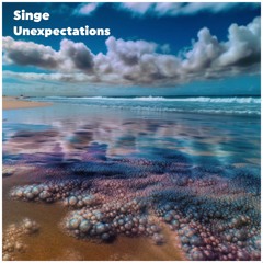 Singe - Funk Soul Dubber