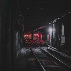 W!LD ØUT