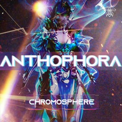 Anthophora - CHROMOSPHERE