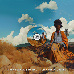 CASA FLAYVA, PA NGU - Too many Promises (Original Mix) [YHV RECORDS]