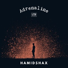 Hamidshax - Adrenaline (Original Mix)