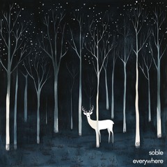 Soble - It's A New Day