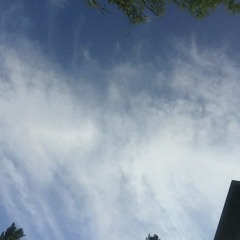 Lost Stars (Into_The_Night_Mix) Cover